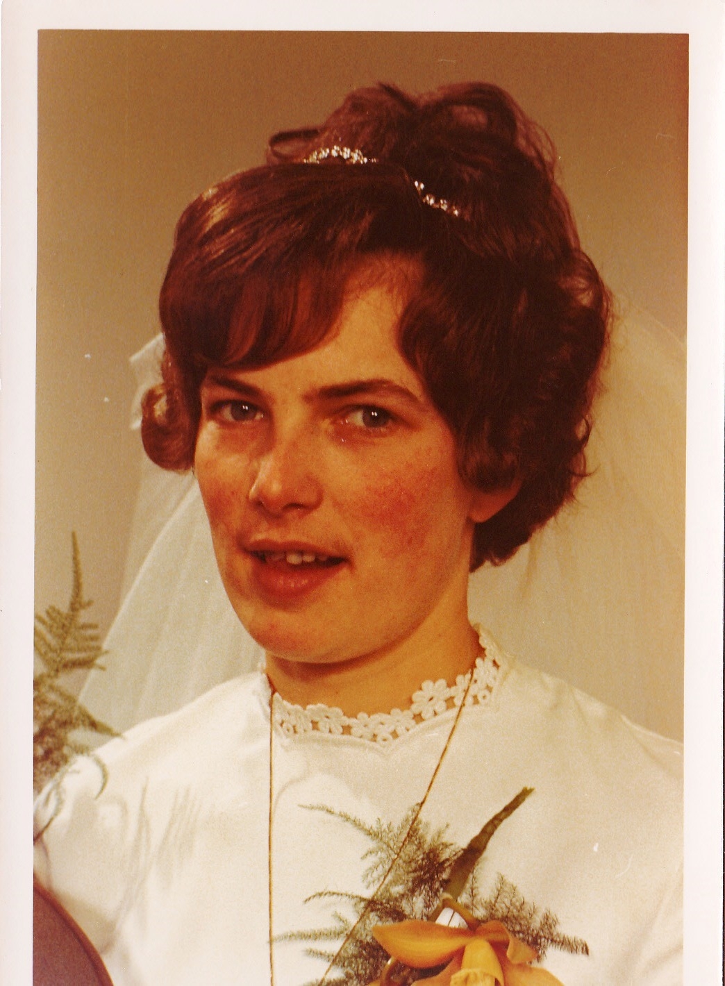 Gallery foto