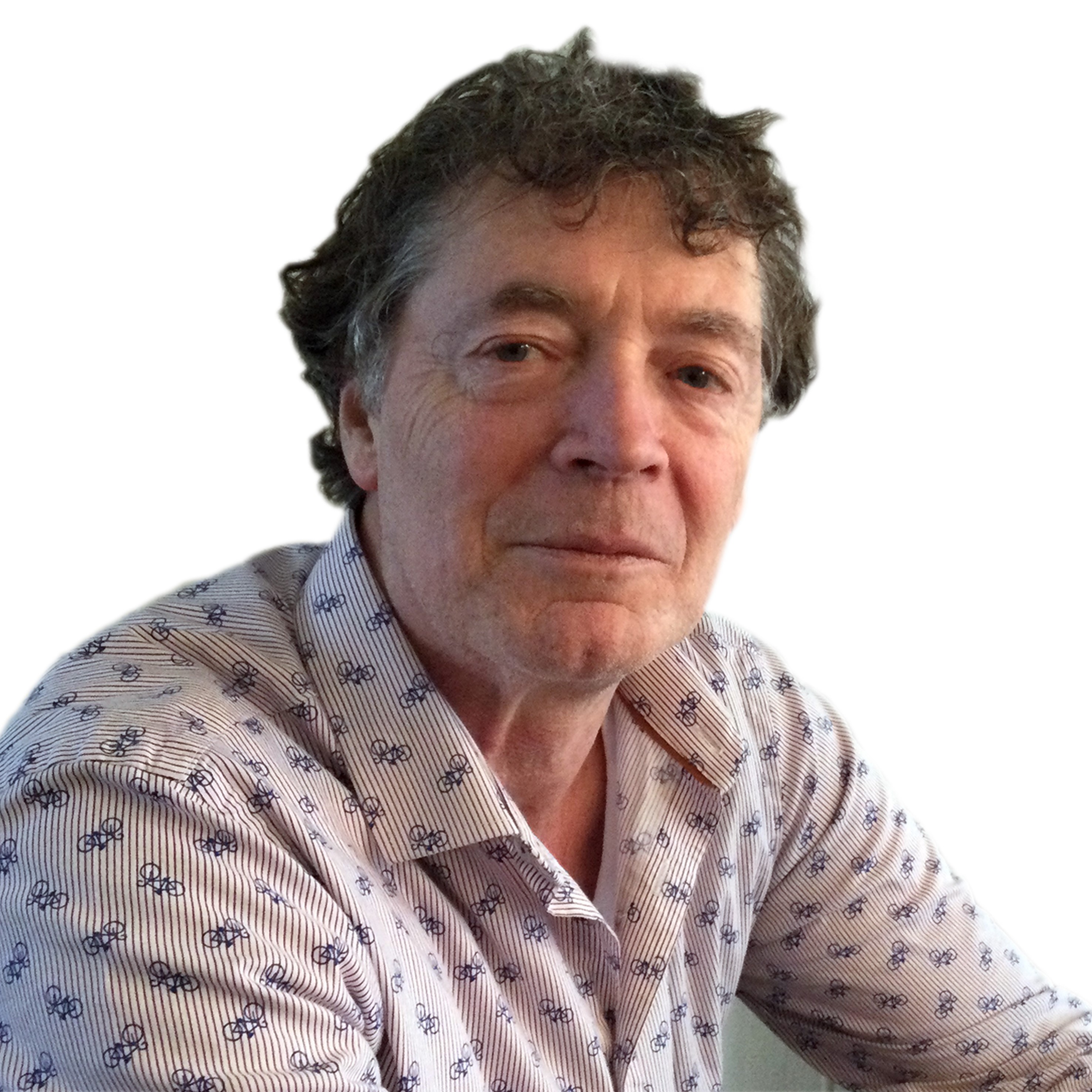 Danny van der Lende