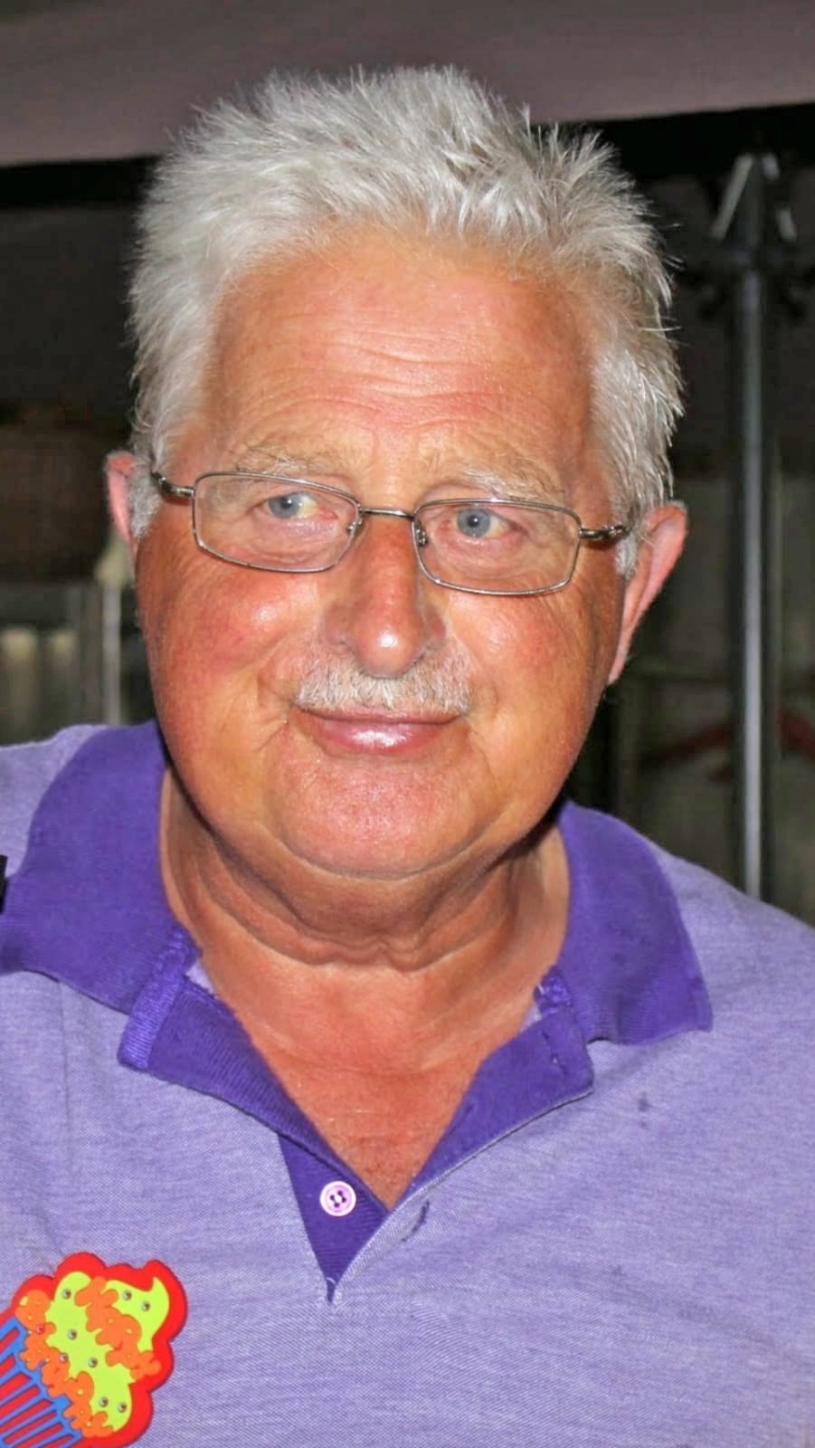 Pieter Lodewijk van der Marel