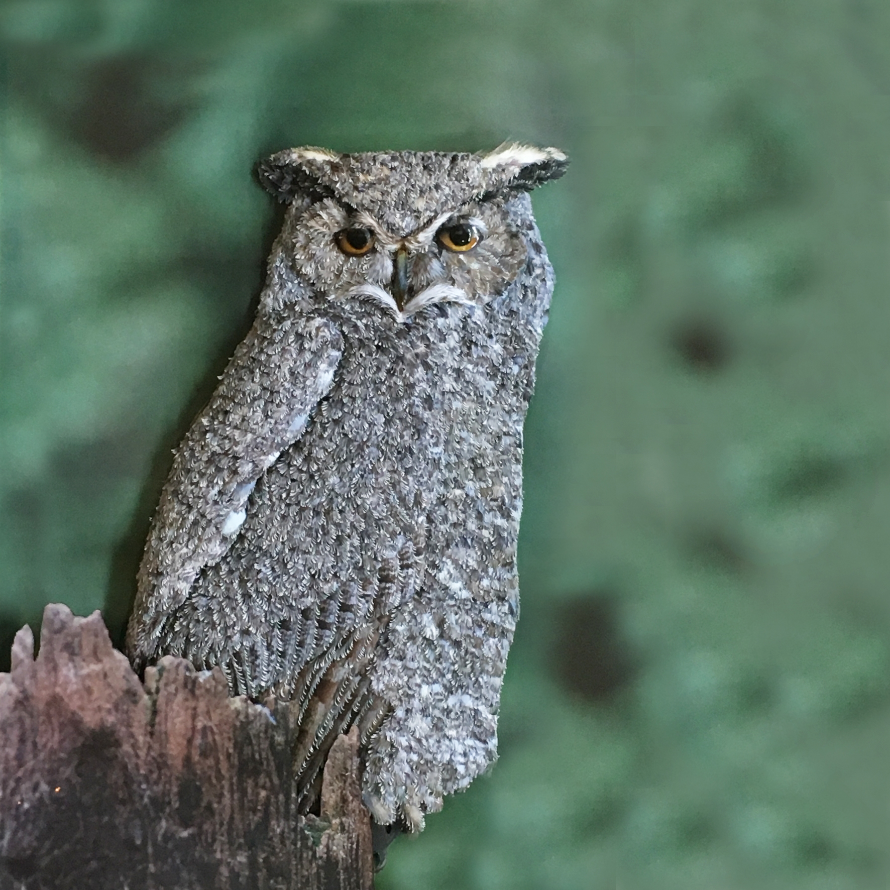 Tien van de Sande