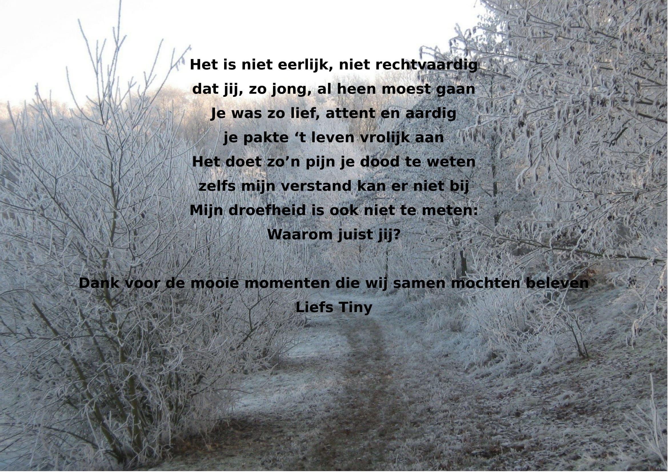 Comment image