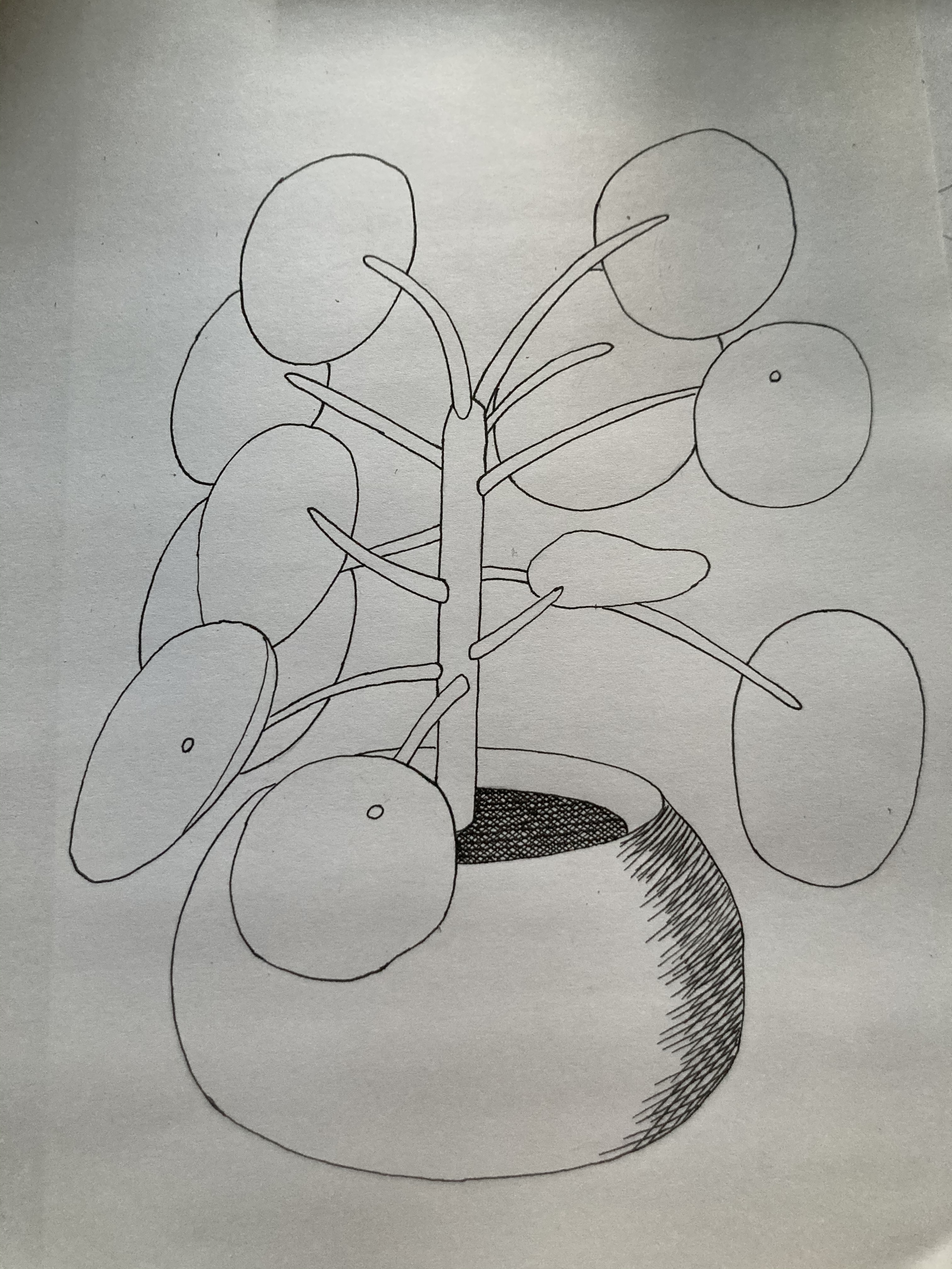 Comment image