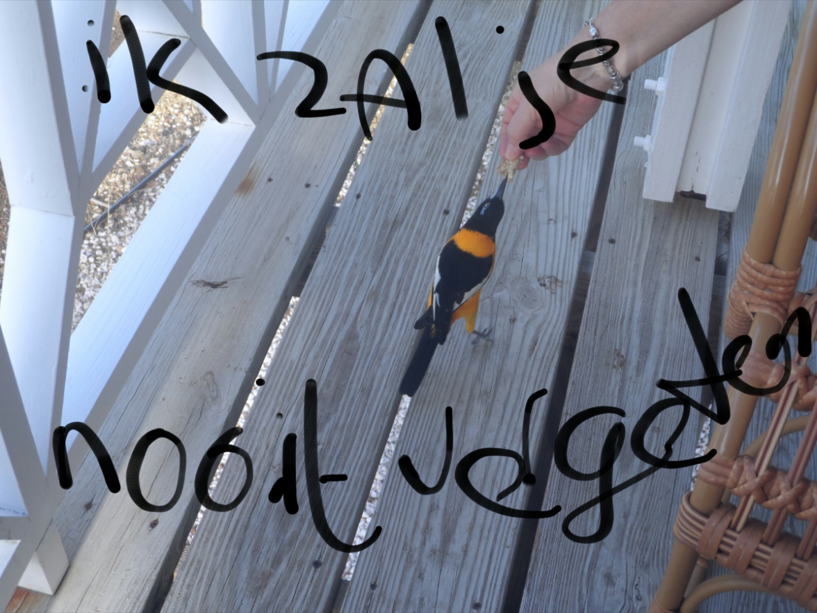 Comment image