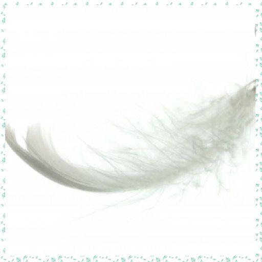 Comment image