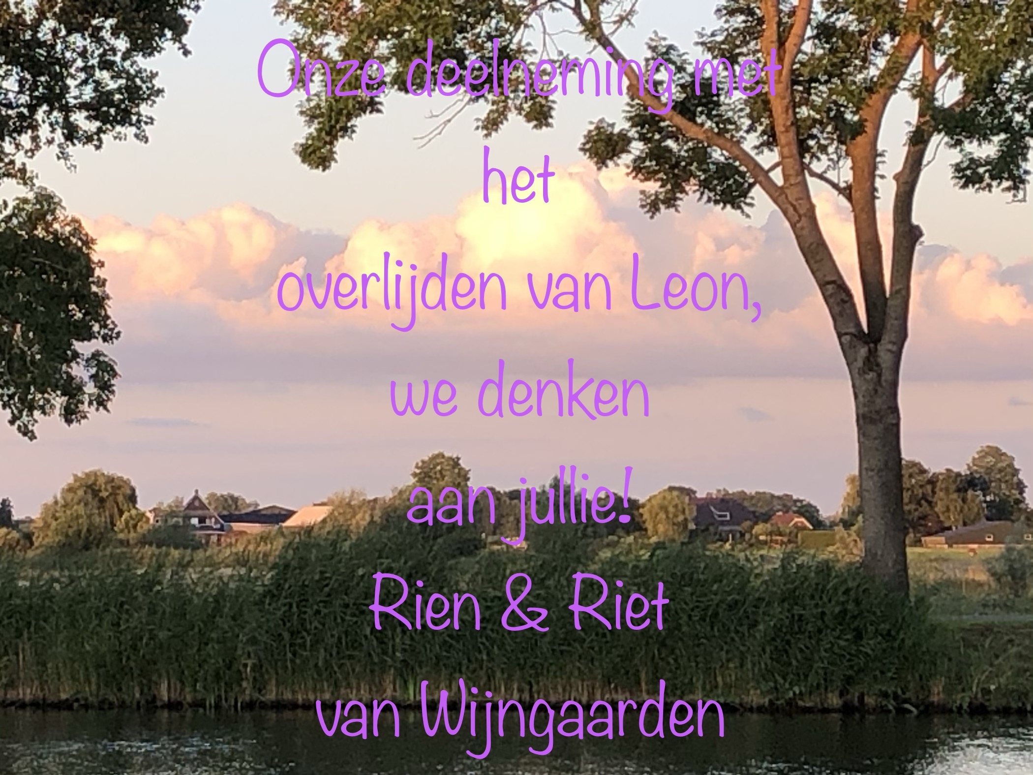 Comment image
