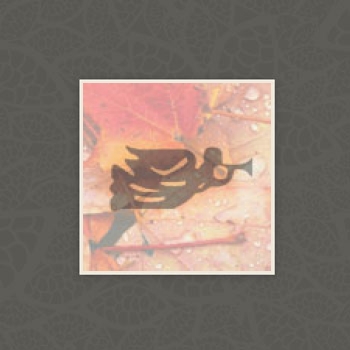 Hans Spek