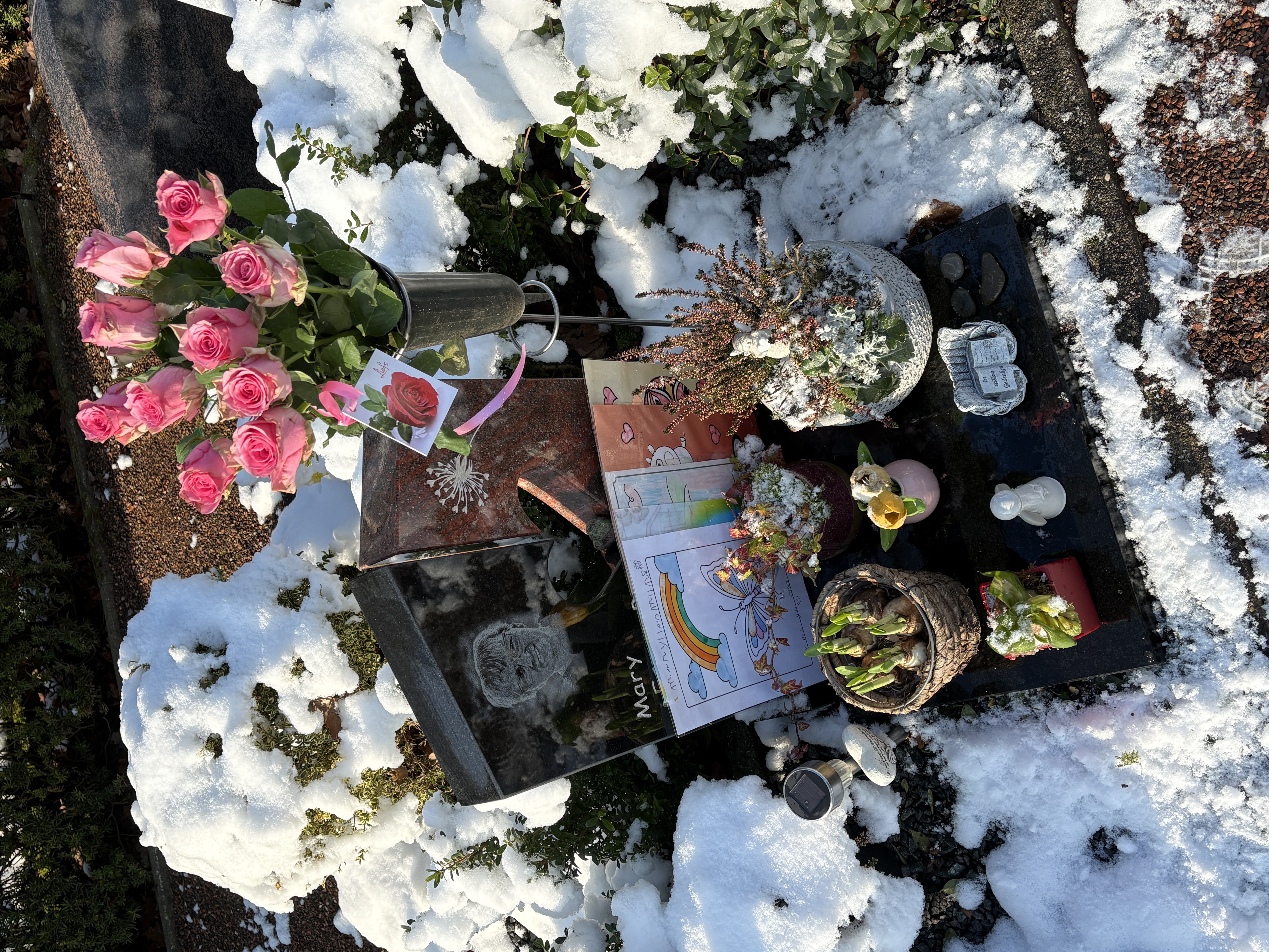 Comment image