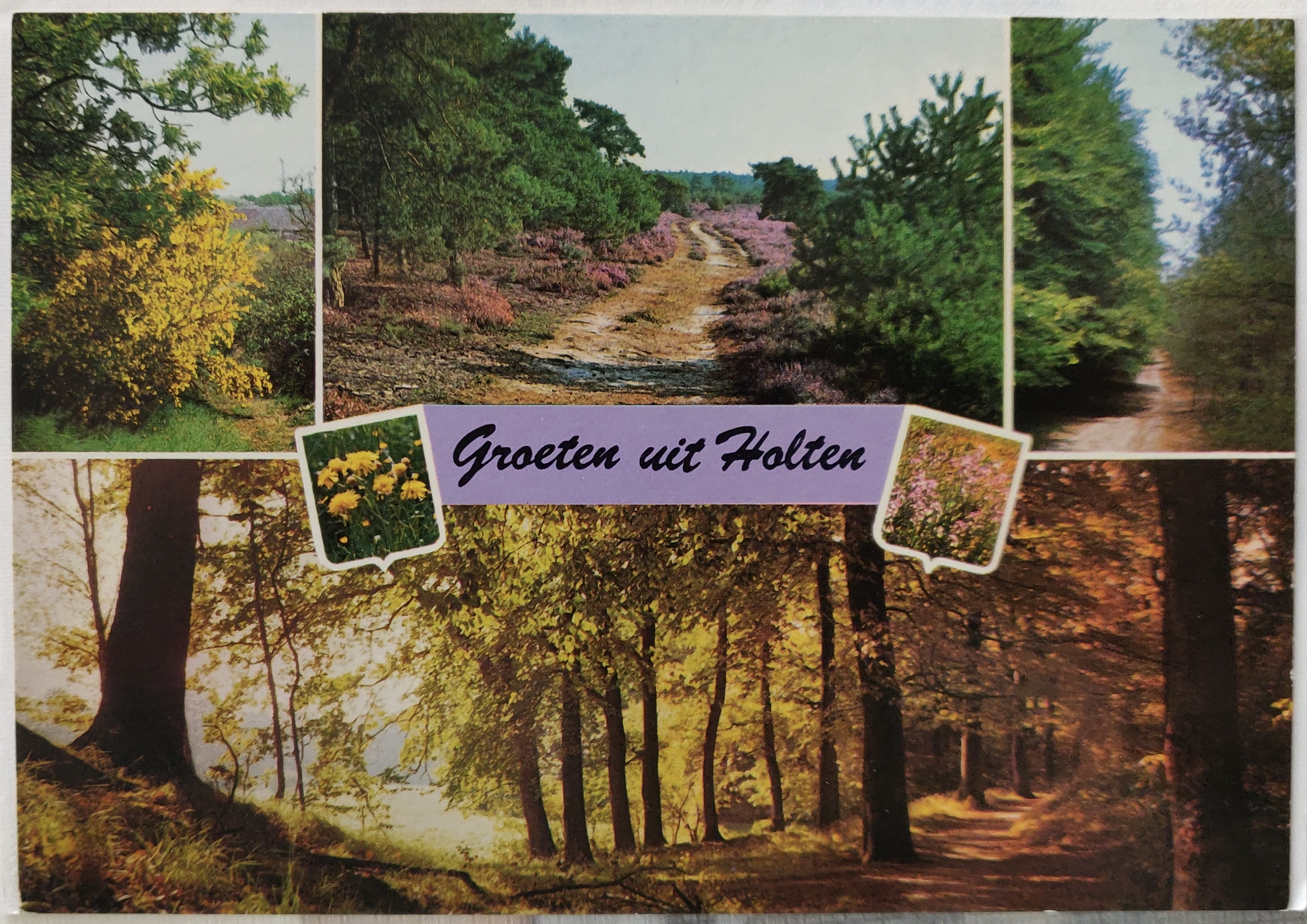 Gallery foto