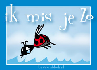 Comment image