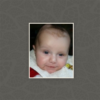 Gallery foto
