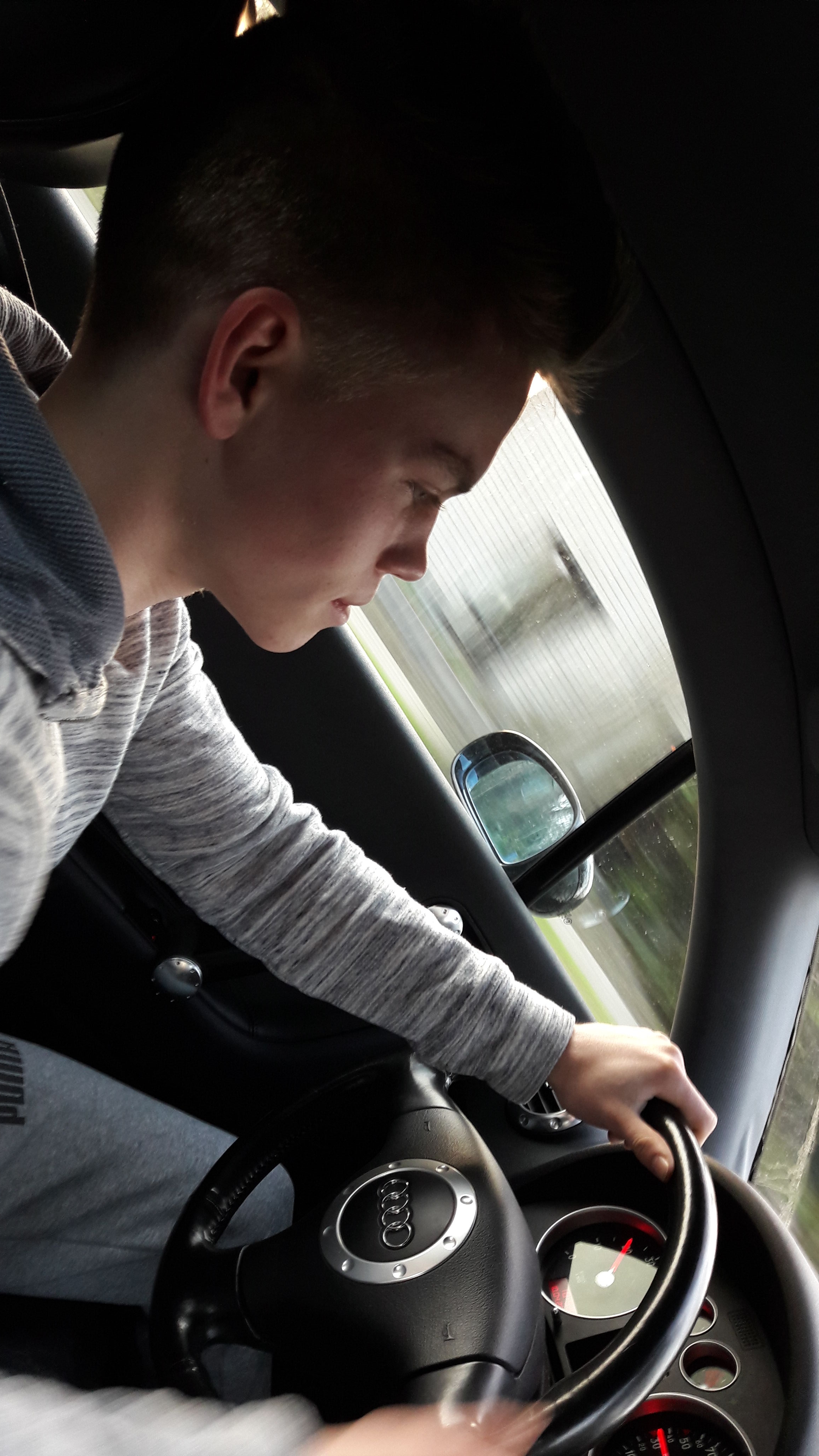 Gallery foto