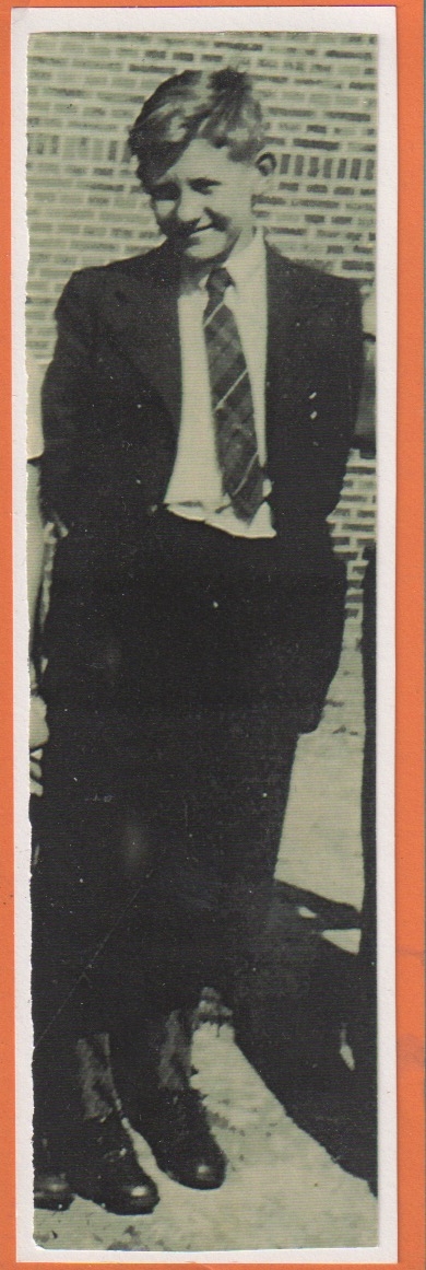 Comment image