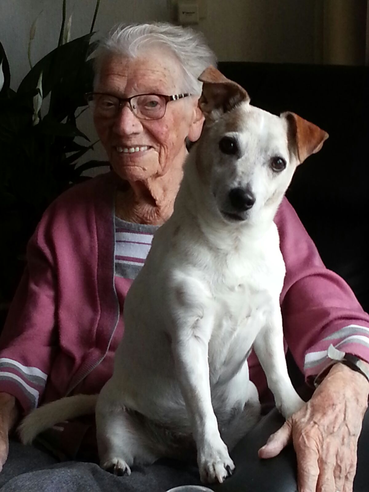 Comment image
