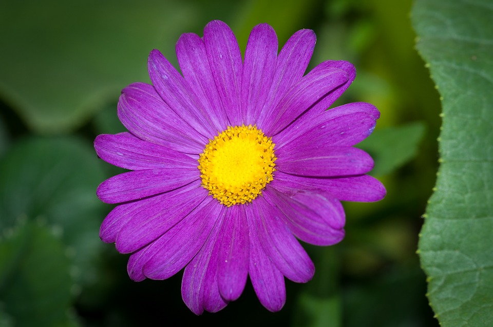 Comment image