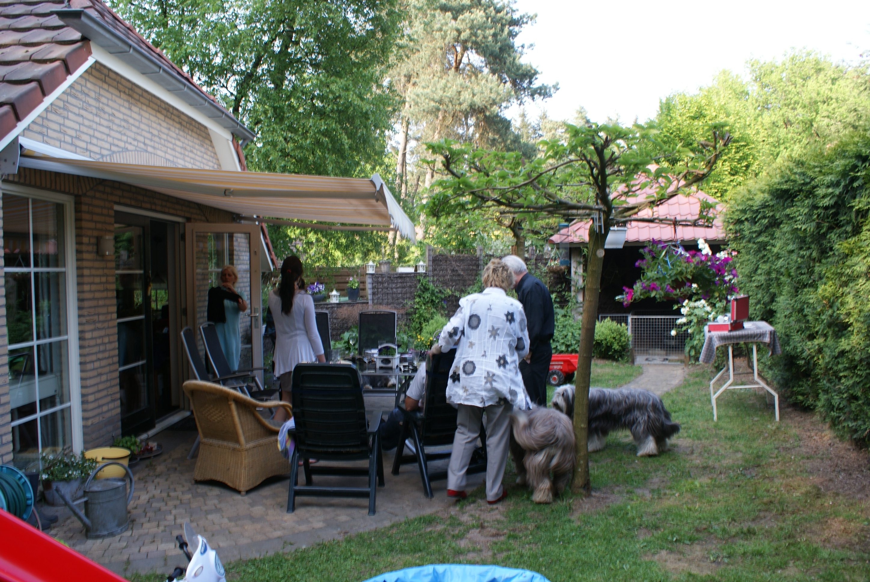 Gallery foto