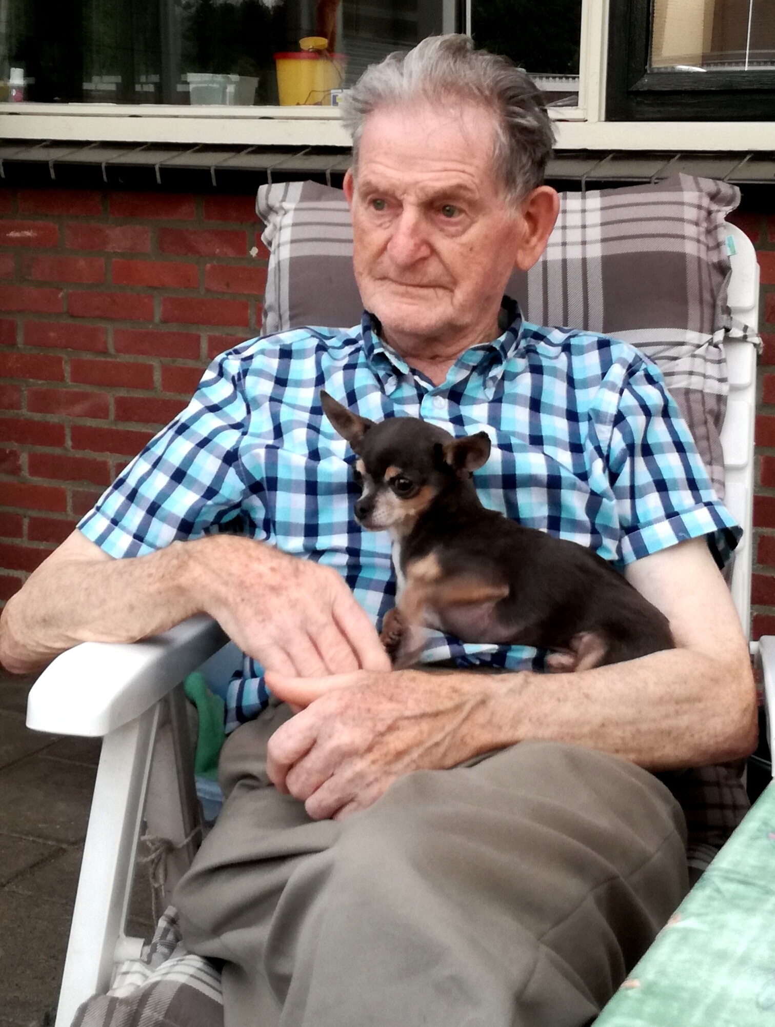 Harrie Dillen
