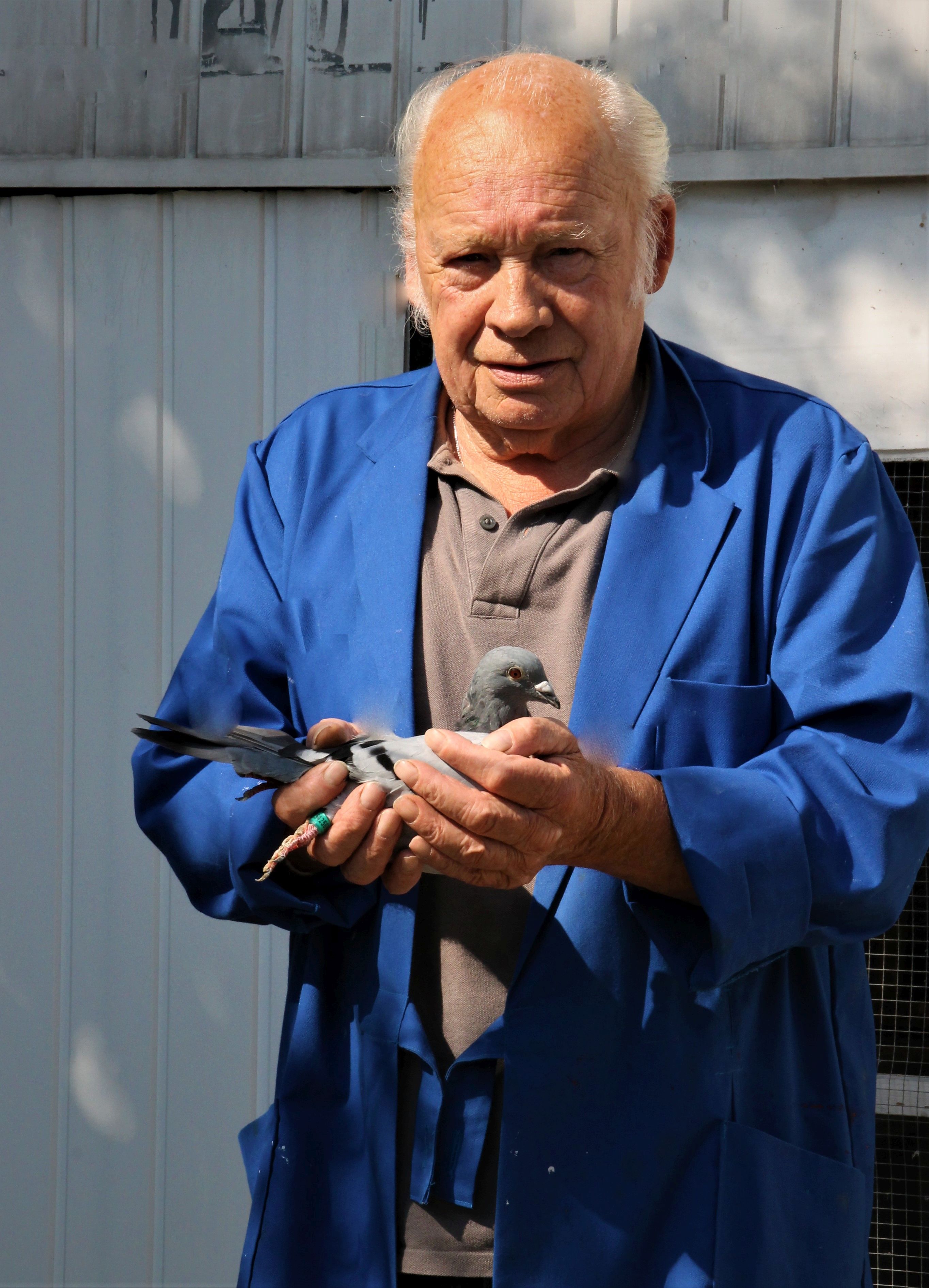 Jo Waaijen