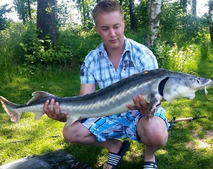 Stefan ten Haaf