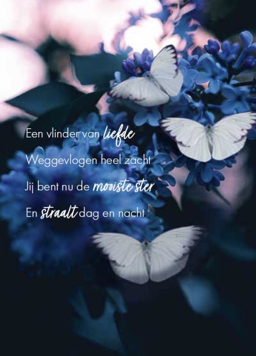 Comment image