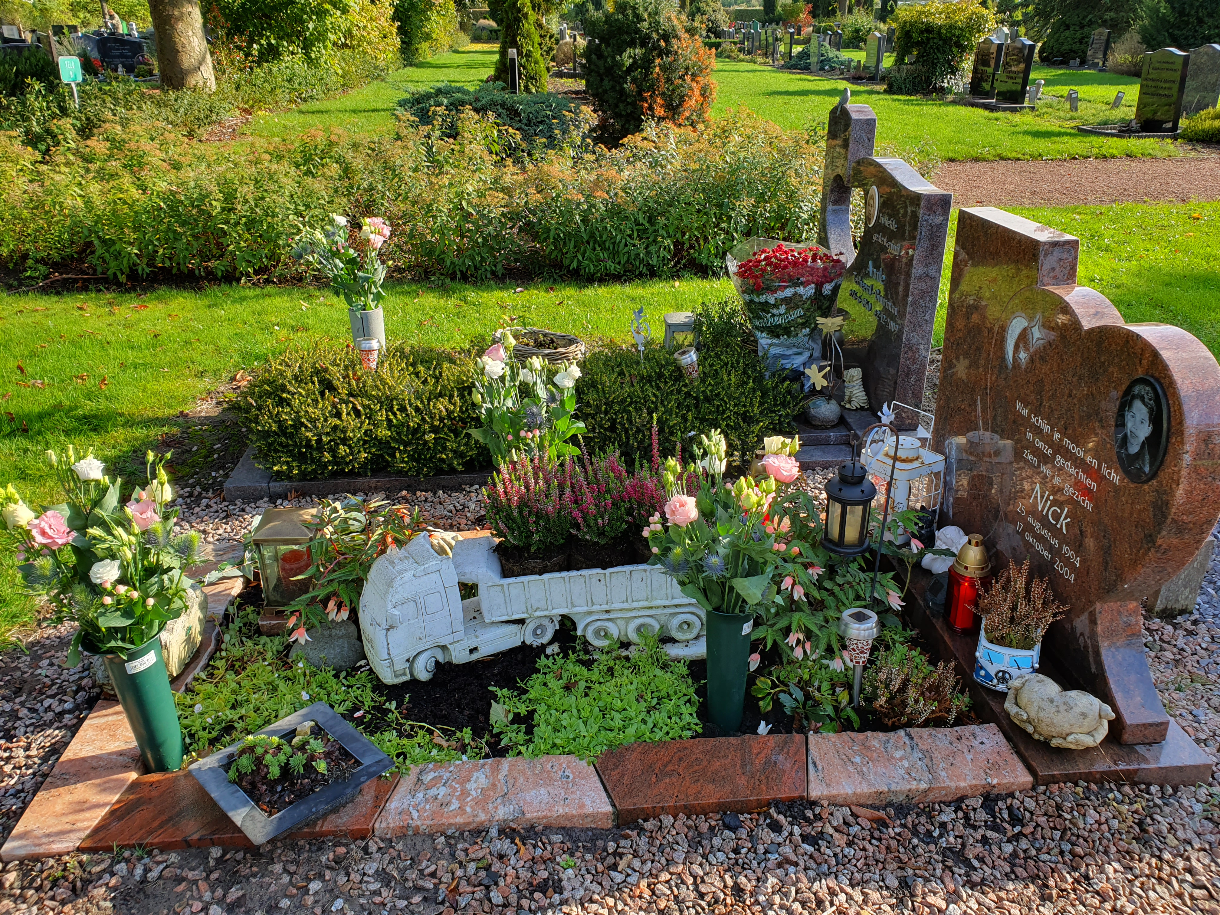 Comment image
