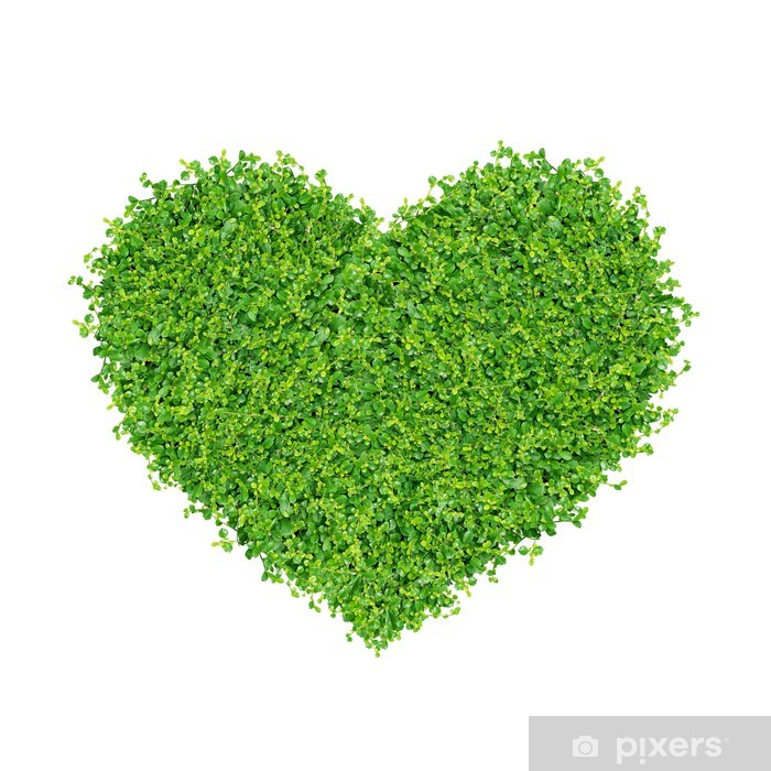 Comment image