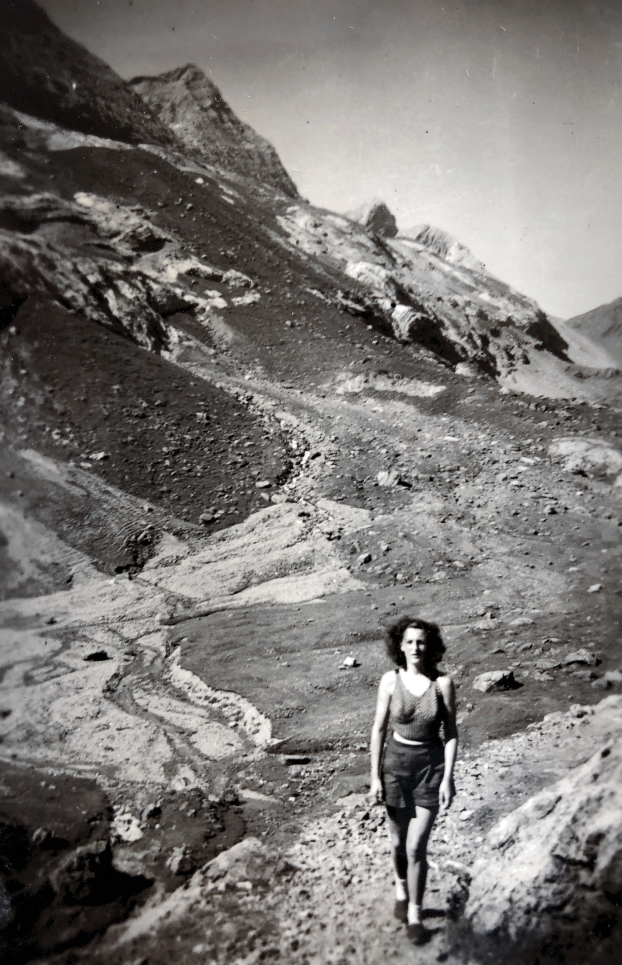 Gallery foto
