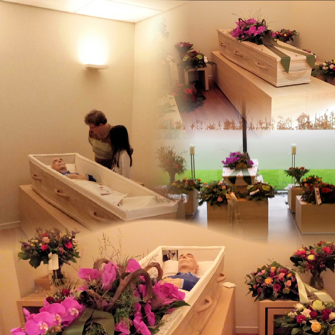 Gallery foto