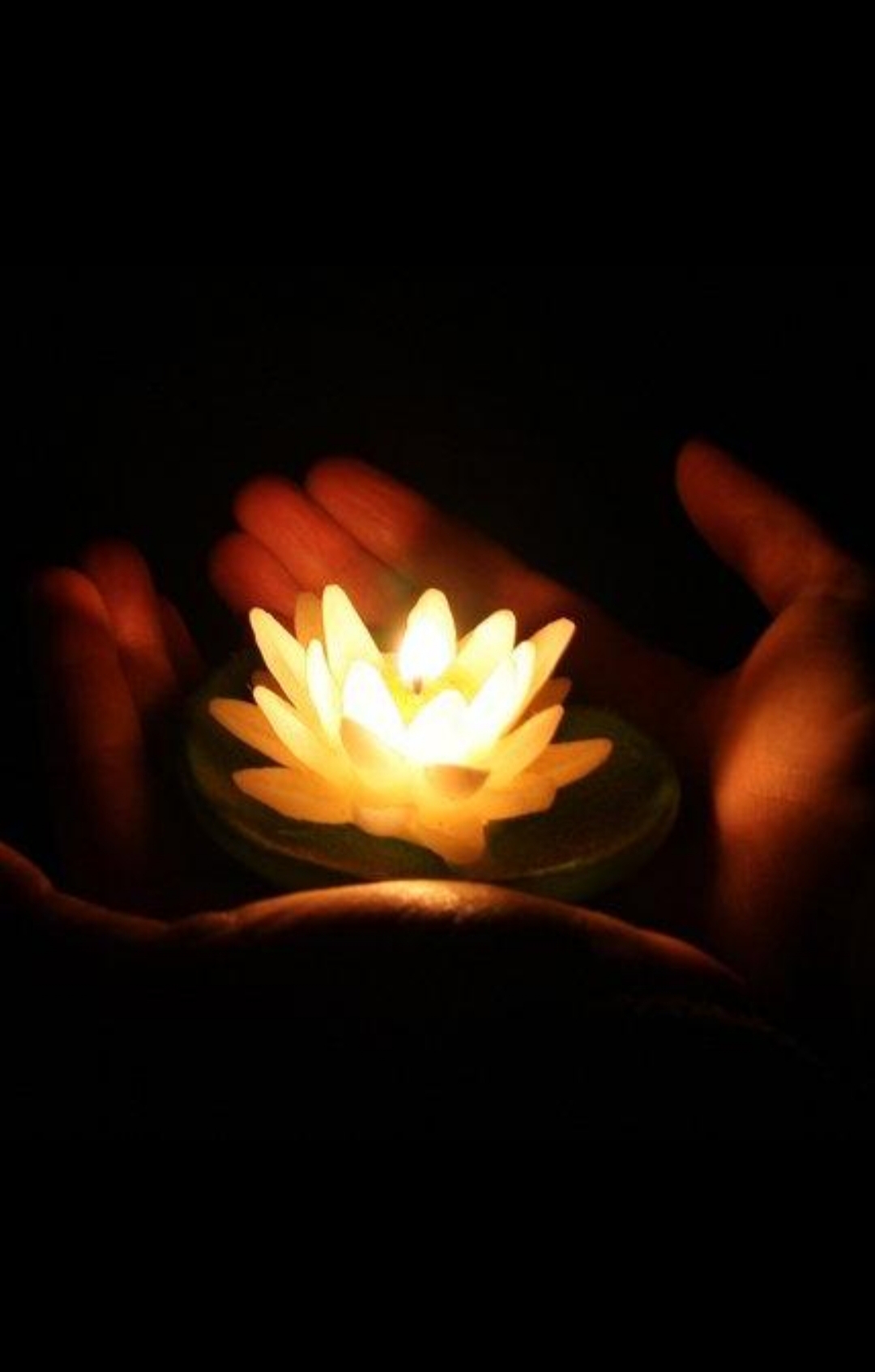 Comment image