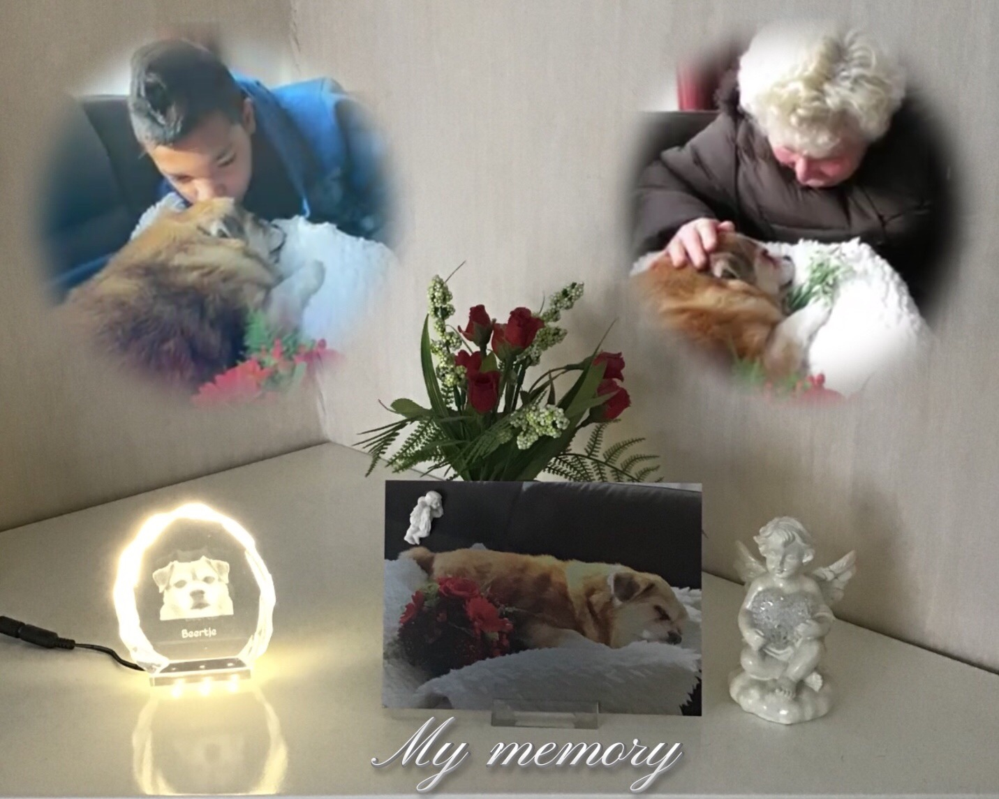 Gallery foto