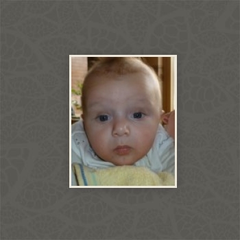 Gallery foto