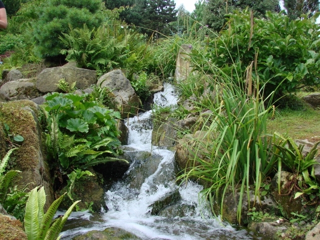 Comment image