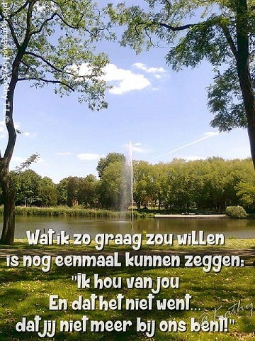 Comment image