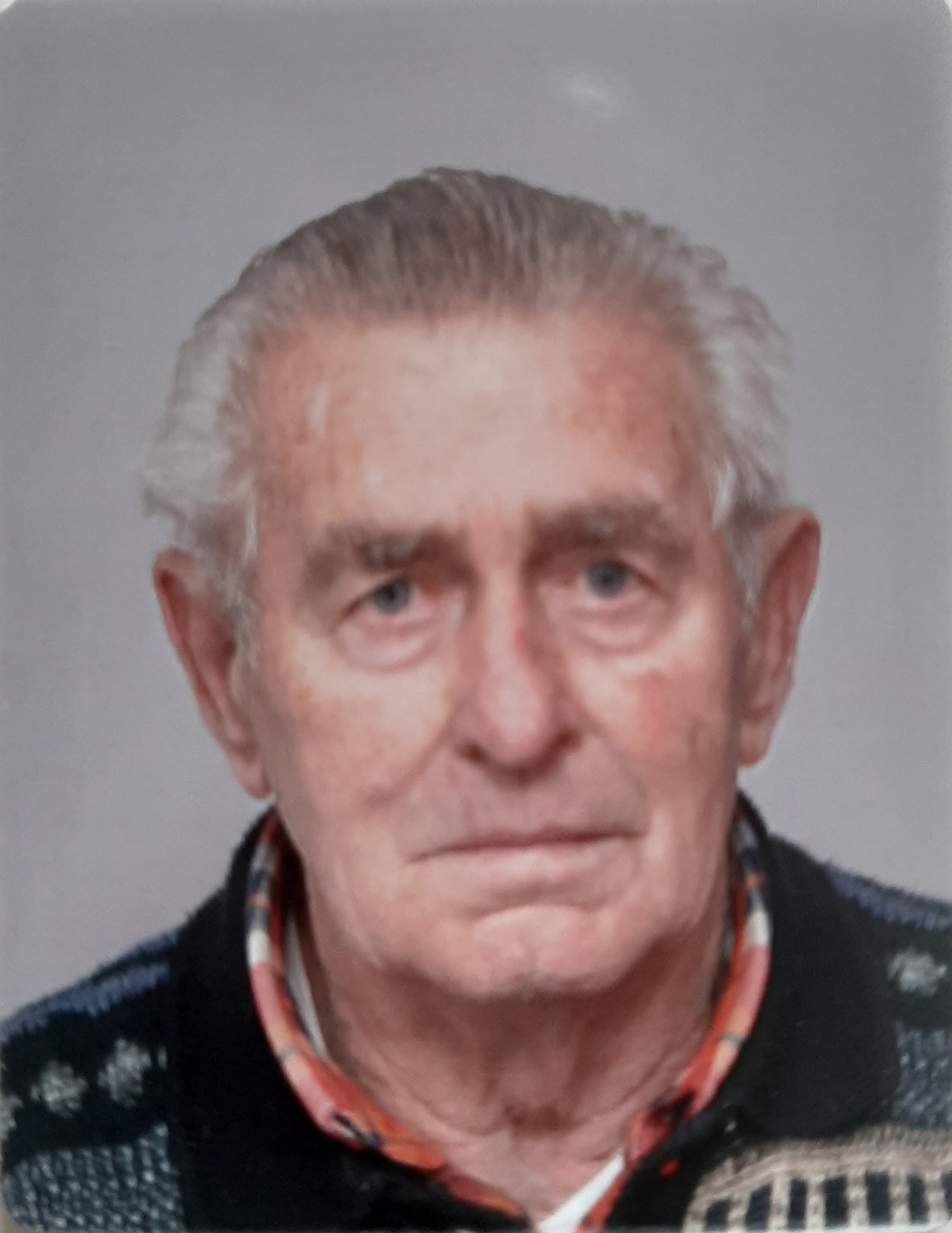 Bear Stammen