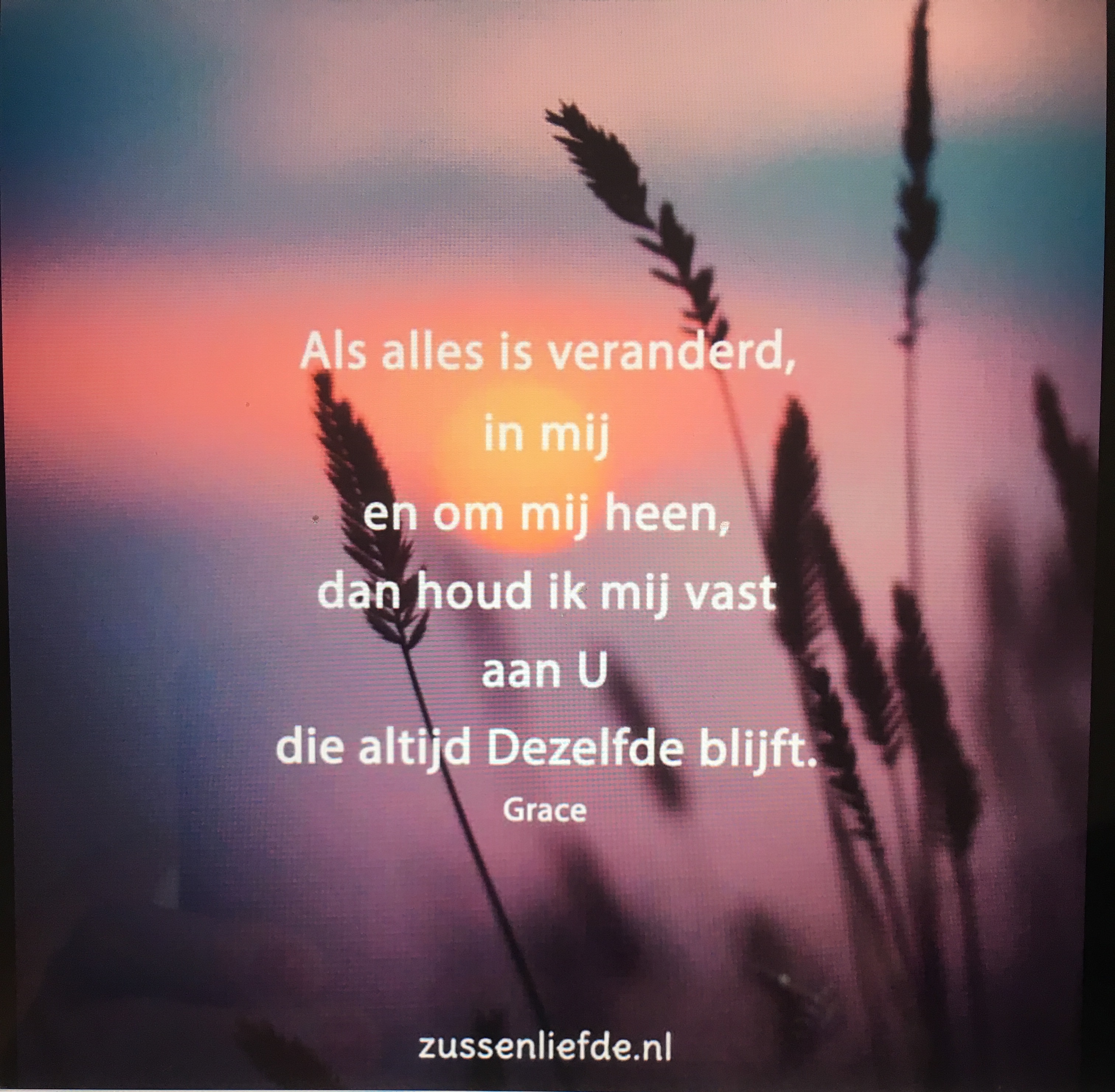 Comment image