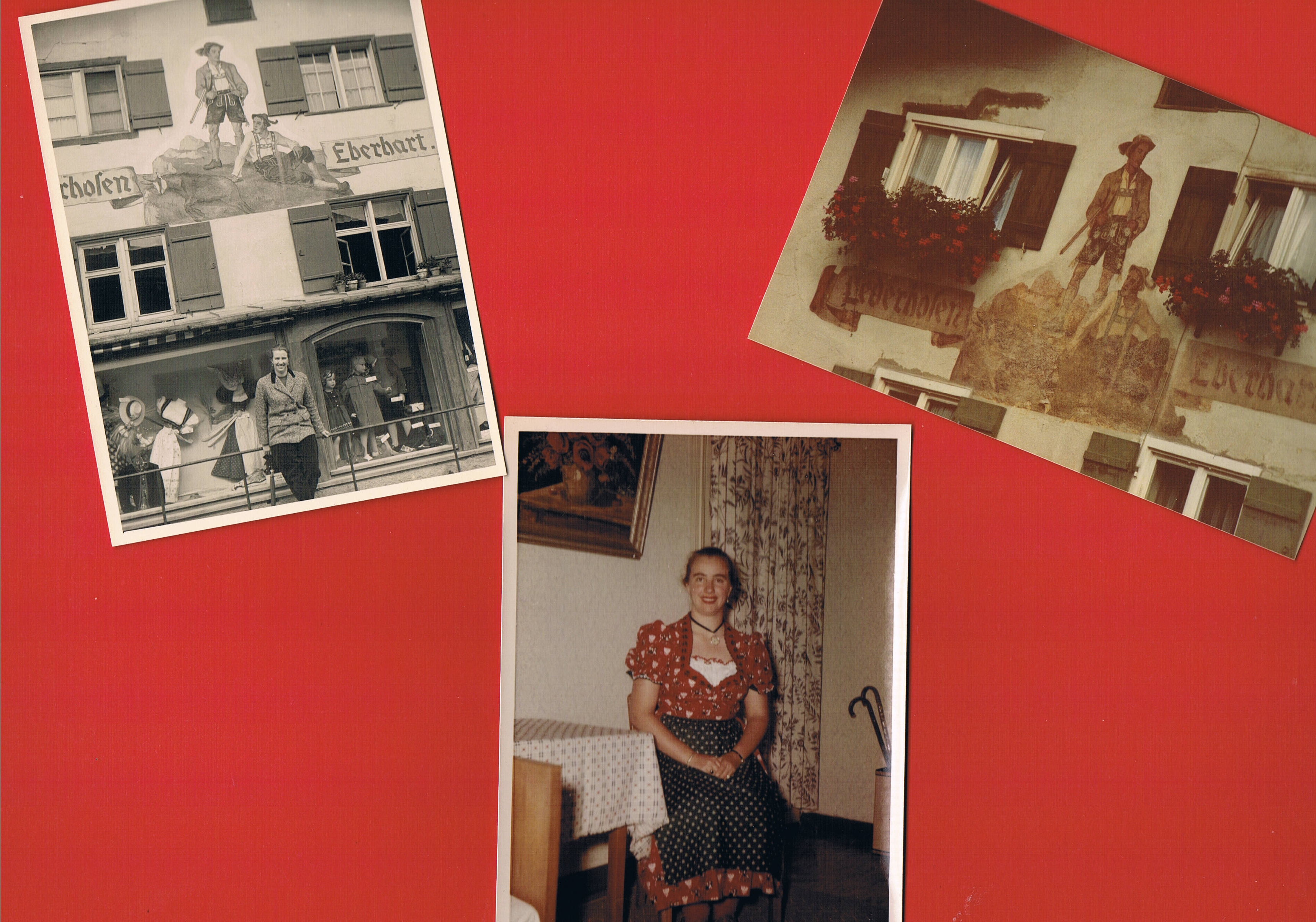 Gallery foto
