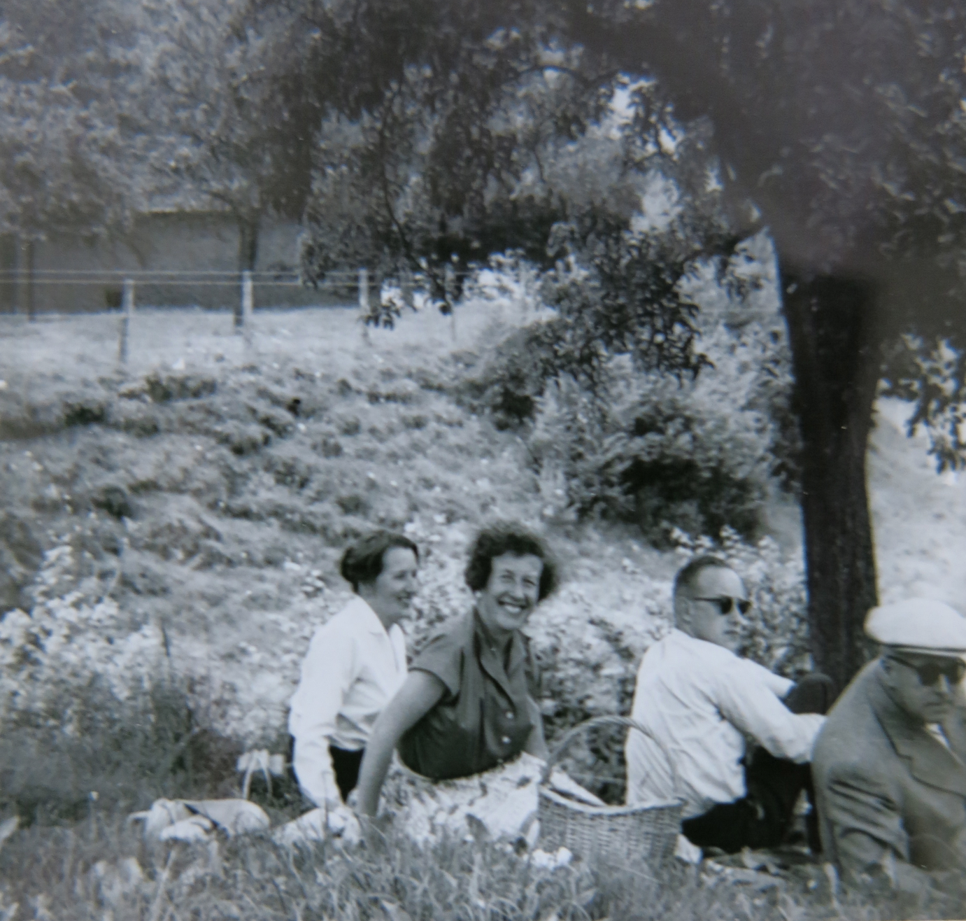 Gallery foto
