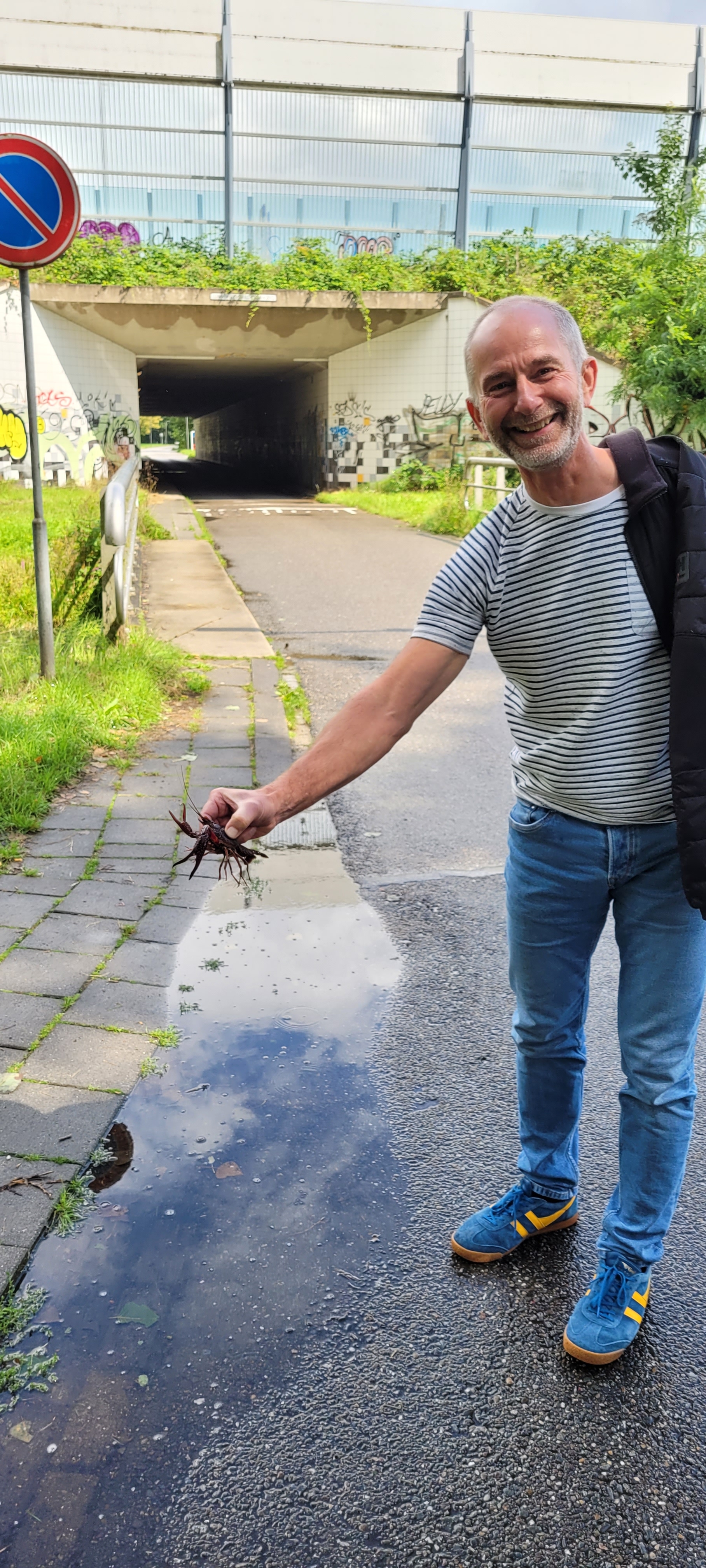 Comment image
