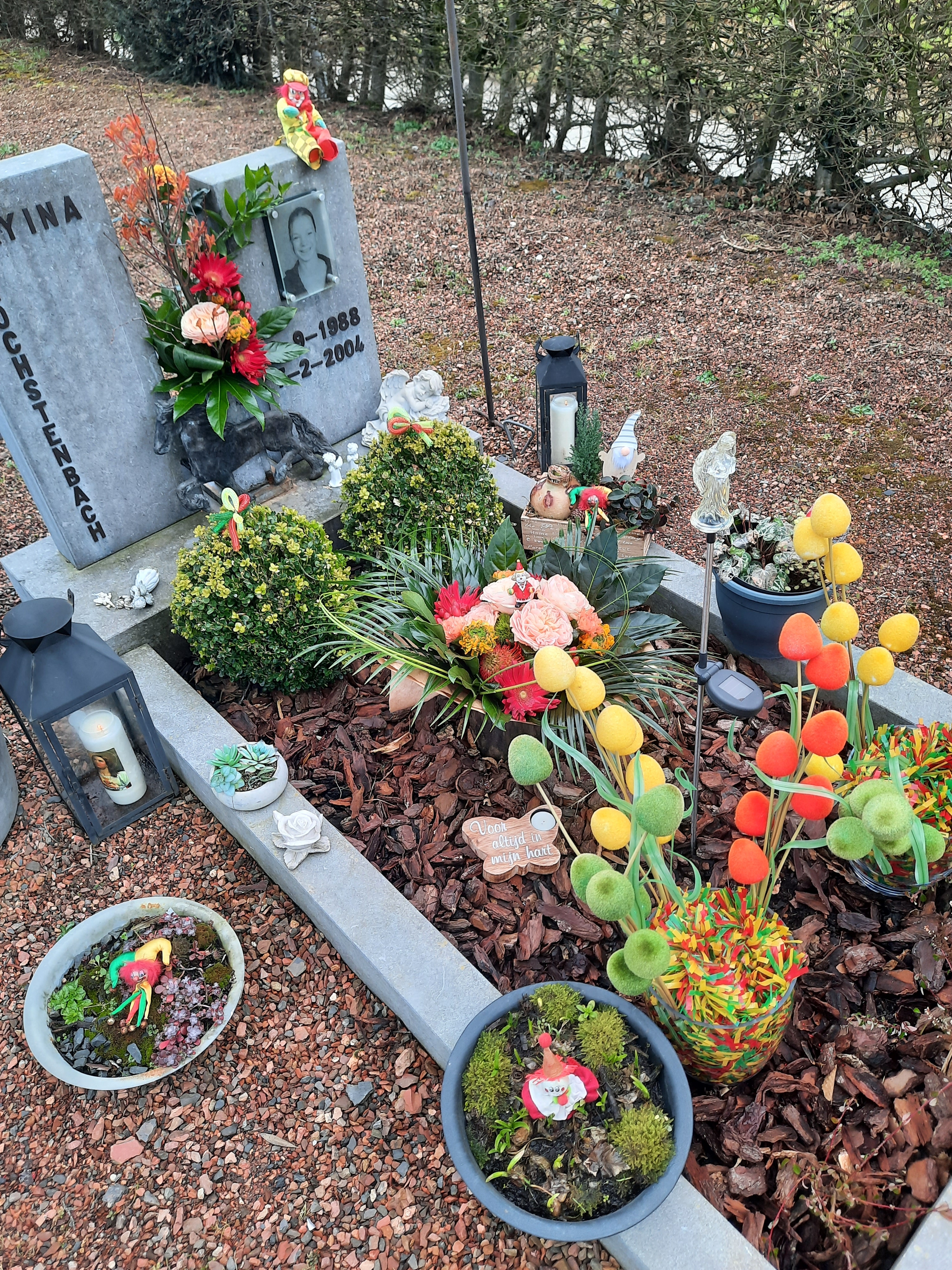 Comment image