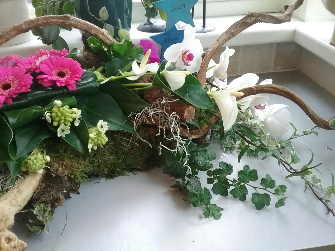 Comment image