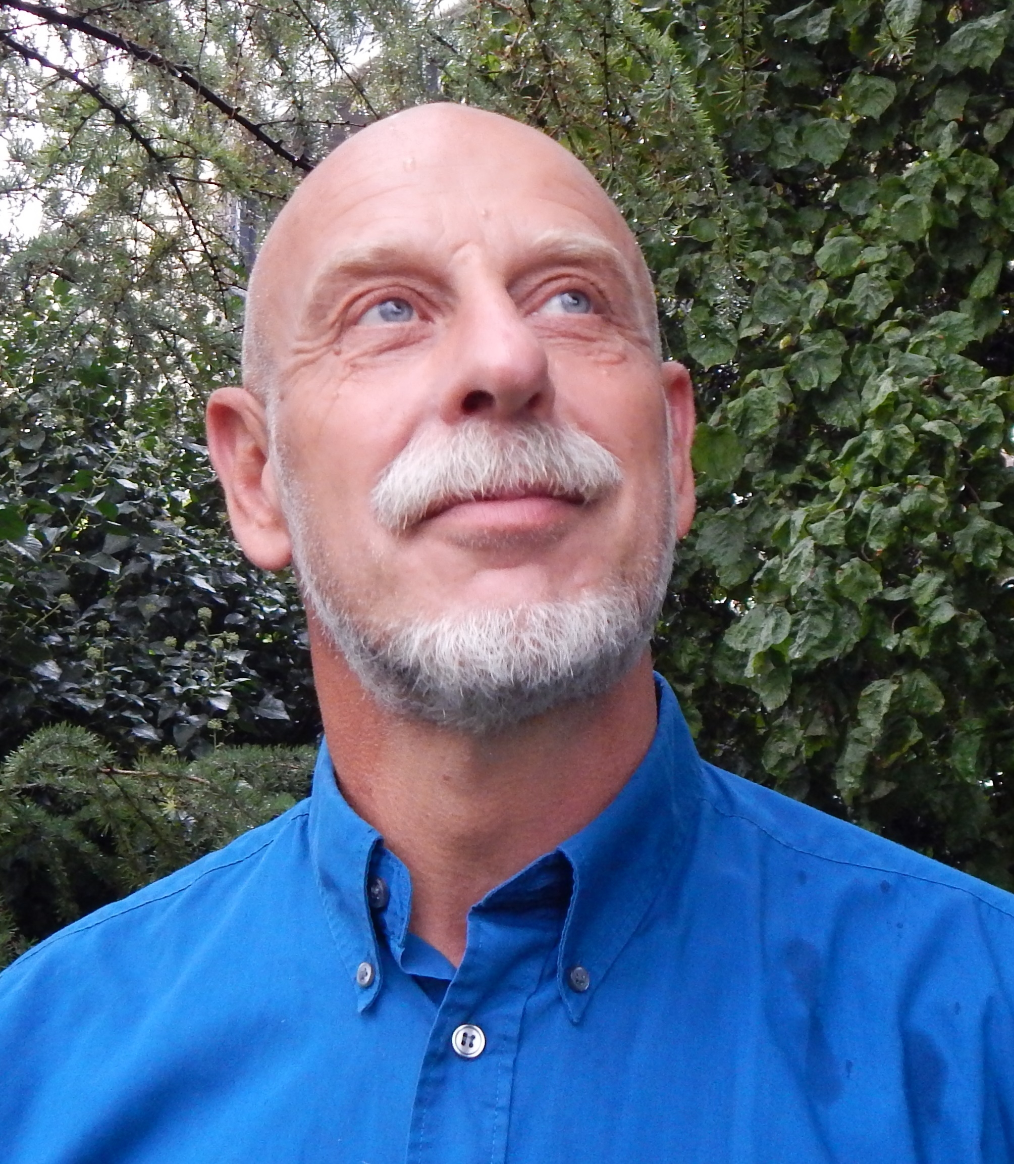 Bert van Wijk