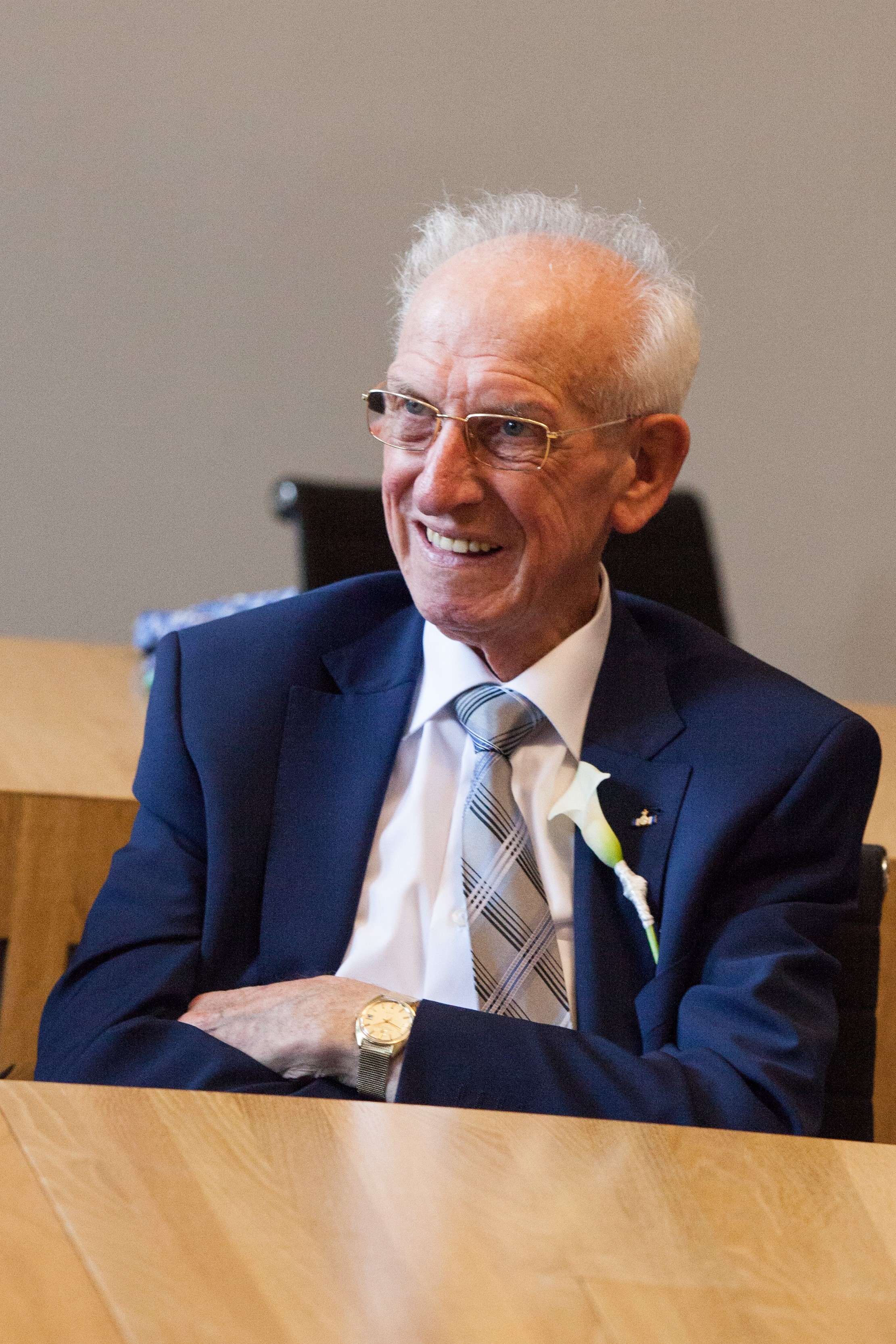 Henk van Steenis