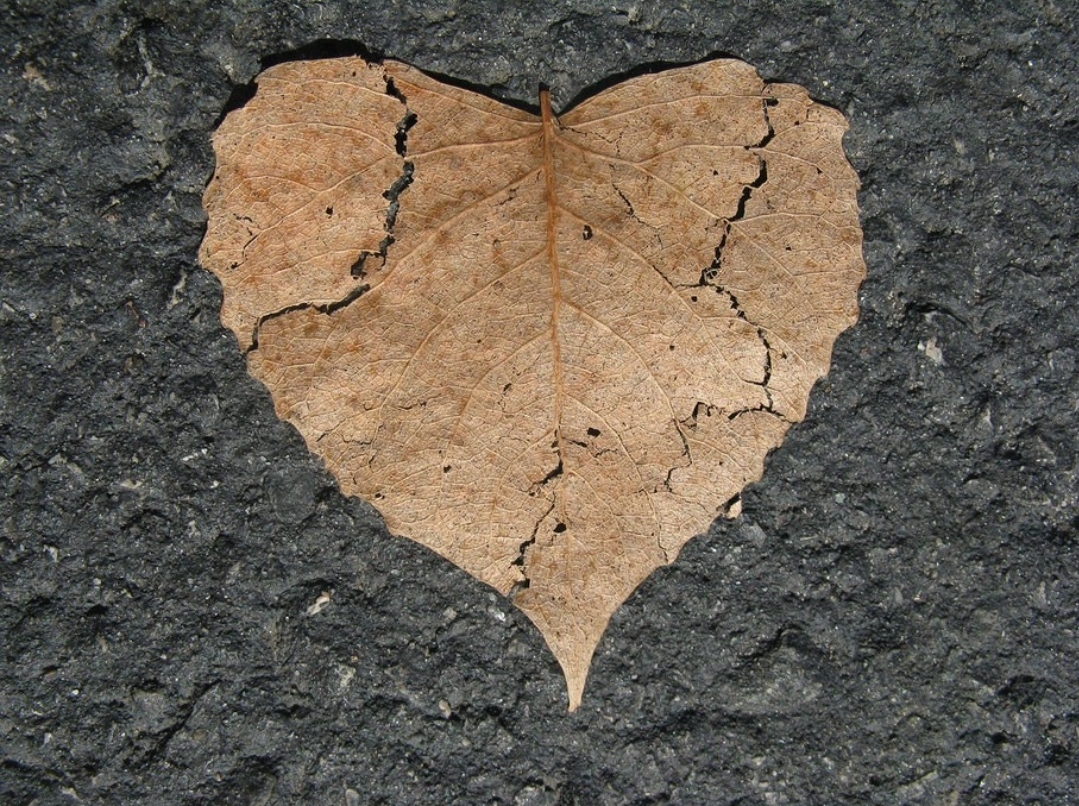 Comment image
