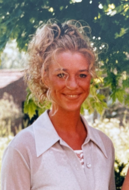 Gallery foto