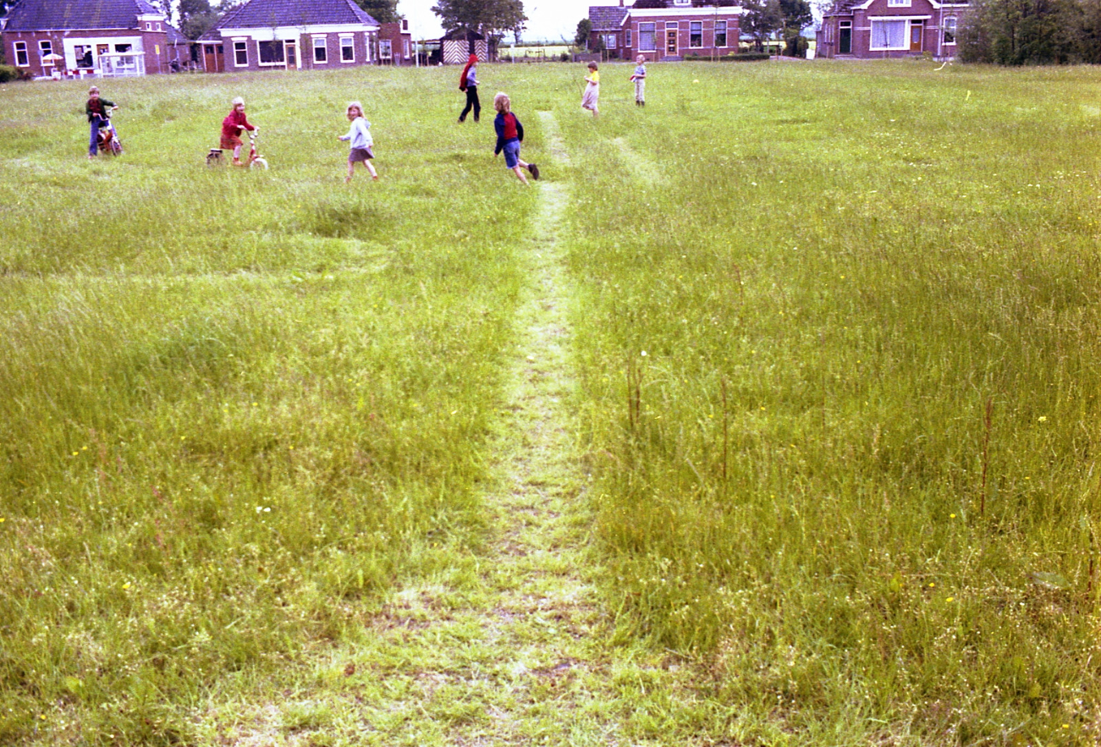 Comment image