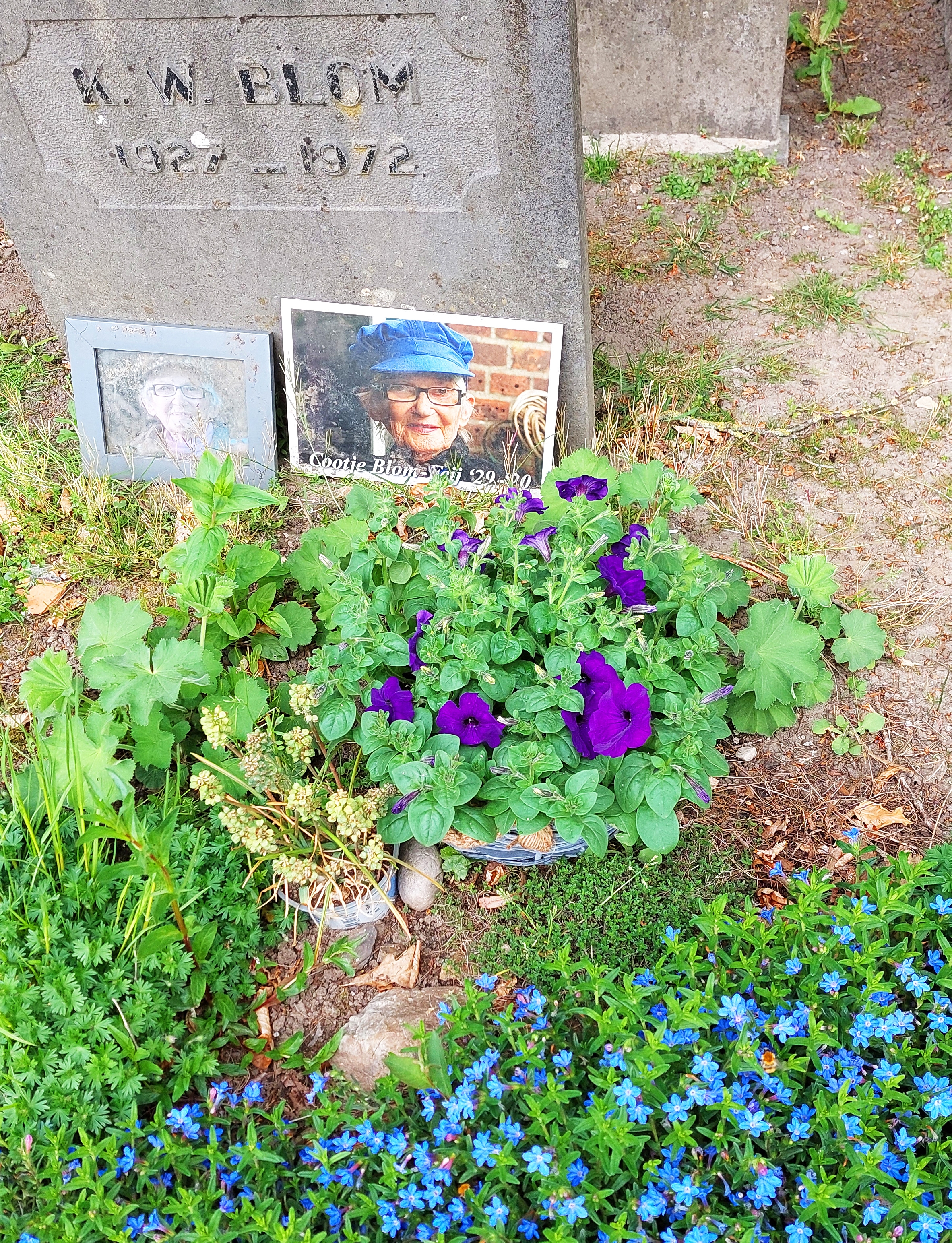 Comment image