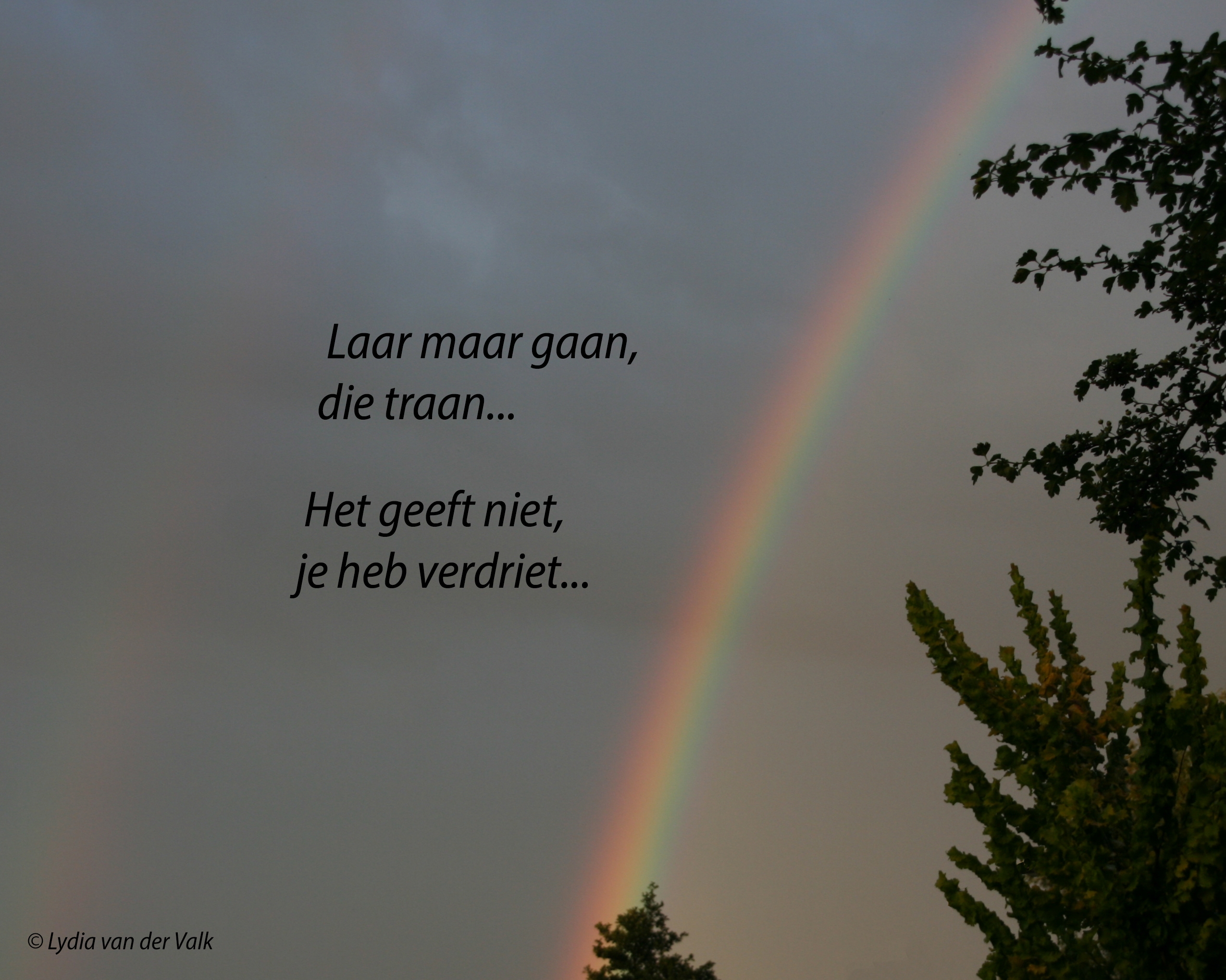 Comment image