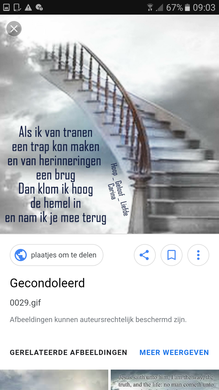 Comment image