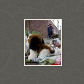 Chanique uit Reuver