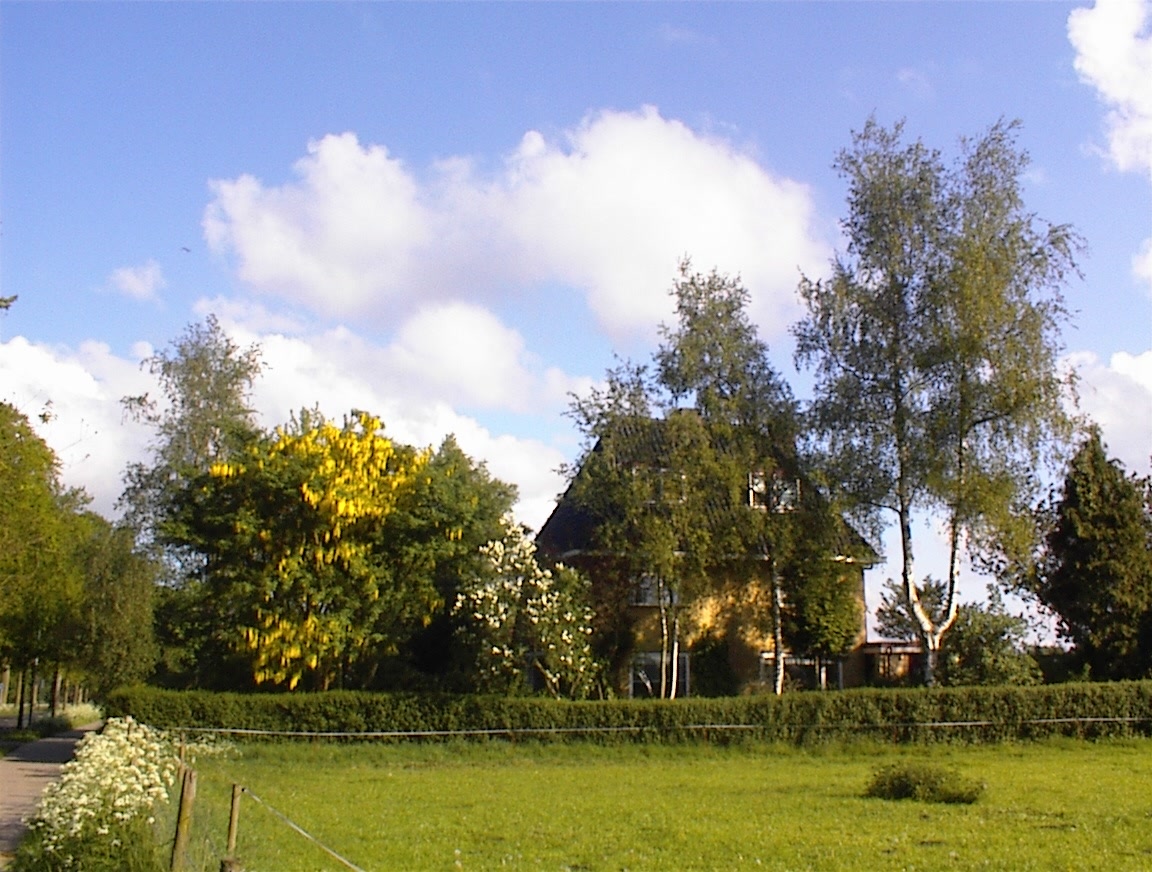 Gallery foto