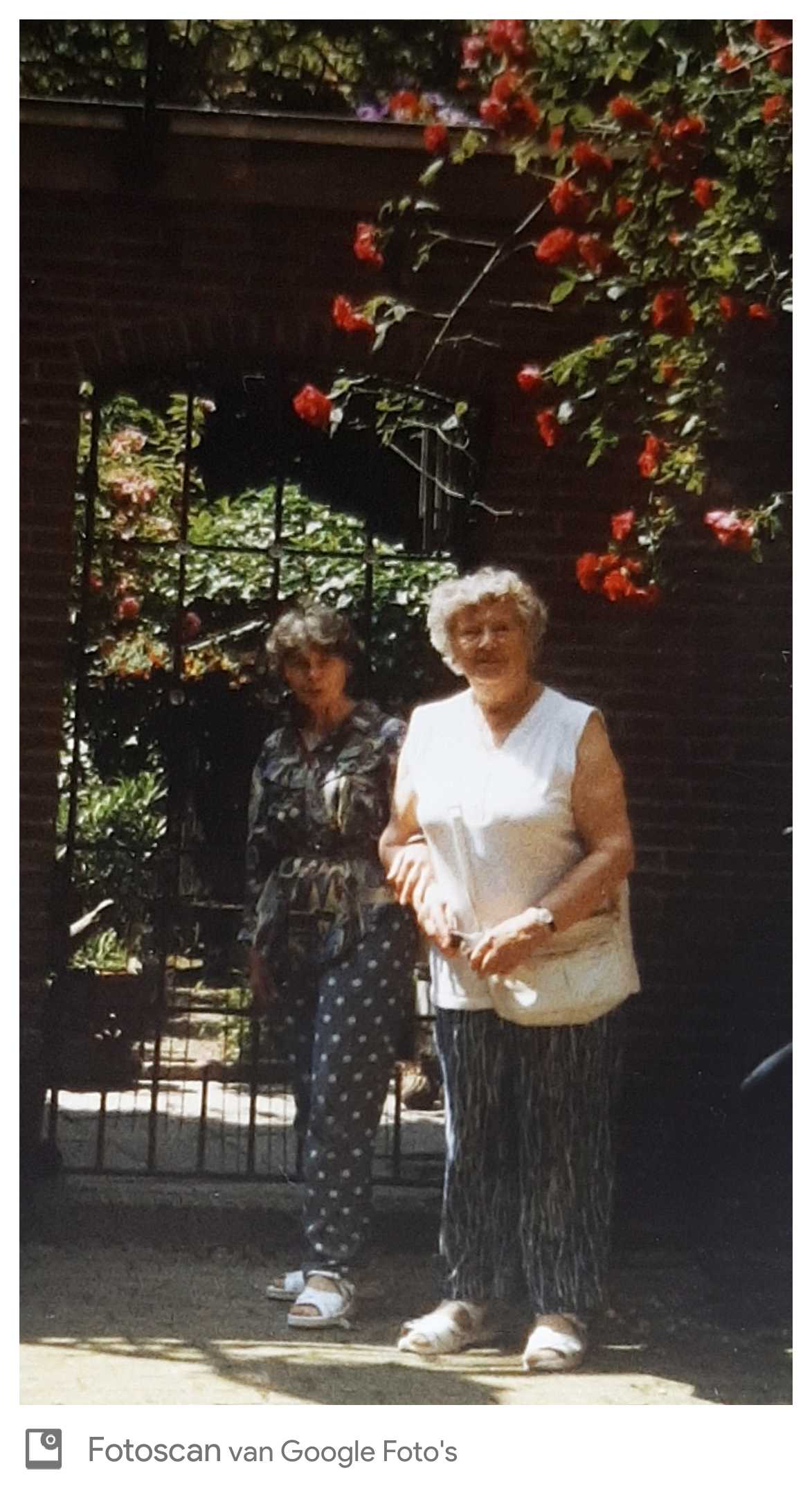 Annie Komen